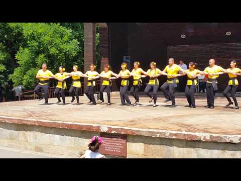 Видео: Хоро Сборенка