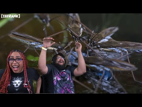 Видео: Хождение по воде | Реакция на реальные факты