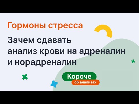 Видео: Гормоны стресса. Зачем сдавать кровь на адреналин и норадреналин