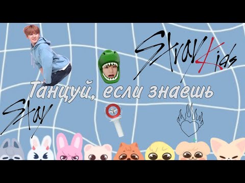 Видео: Танцуй, если знаешь эту к-поп хореографию | Хореографии Stray kids