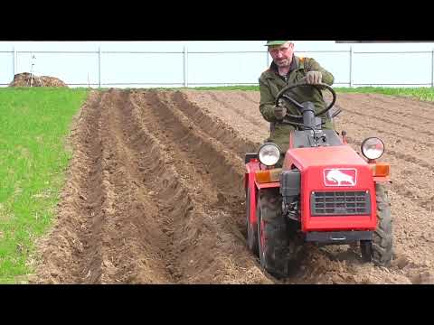 Видео: МТЗ-132н.Нарезка гребней под посадку картошки.