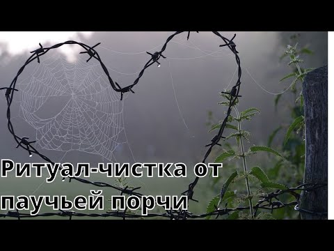 Видео: 🆘РИТУАЛ-ЧИСТКА ОТ ПАУЧЬЕЙ ПОРЧИ🙌🏻✨🕷🕸🕷🕸🕷🕸✅💯