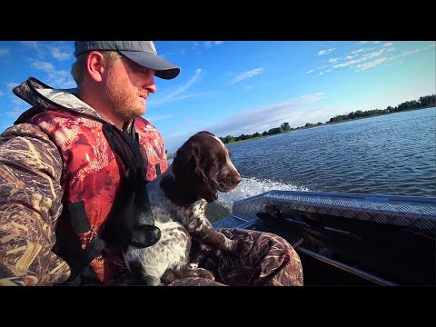 Видео: РЫБАЛКА - ЖЕСТЬ. СОБАКУ ЧУТЬ НЕ СЪЕЛИ. Клюёт на каждом забросе. Вода кипит жизнью.