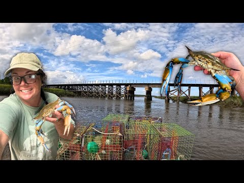 Видео: Не могу поверить, что мы поймали так много *ОГРОМНЫХ* синих КРАБОВ!! — Мы ЗАГРУЗИЛИ лодку!! (Пойм...