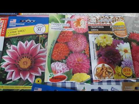 Видео: Обзор семян однолетних цветов для посадки в 2019г.