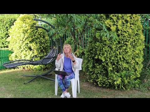 Видео: Почему растет жир?