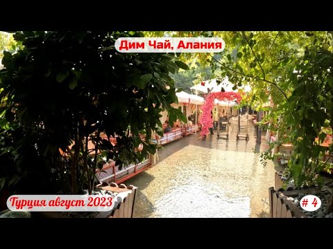 Видео: Отдых в Турции | Дим Чай | Алания | Часть 4-я | Август 2023