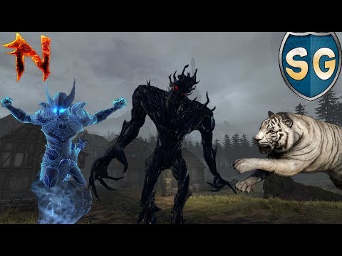 Видео: Топ спутники для ДД. Neverwinter Online гайд