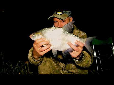 Видео: Ночная рыбалка на леща осенью!  Теплая ночь с костром против диких зверей!