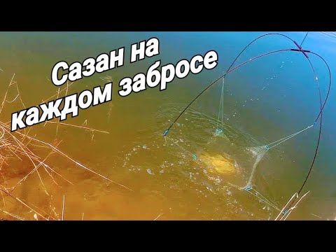 Видео: Рыбалка на паук в малых Сибирских реках! Сазан на каждом забросе! Адреналин зашкаливает!