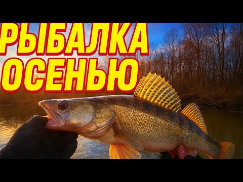 Видео: Рыбалка на спиннинг поздней осенью