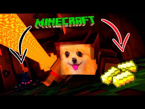 Видео: ЭЛИСОК В ШАХТЕ ! ПЕРВОЕ ЗОЛОТО И ЧТО-ТО ЕЩЕ ! MINECRAFT