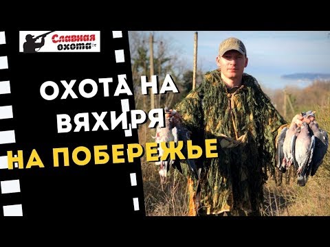 Видео: Охота на вяхиря 2019\\Охота на вяхиря на Побережье\\Славная Охота