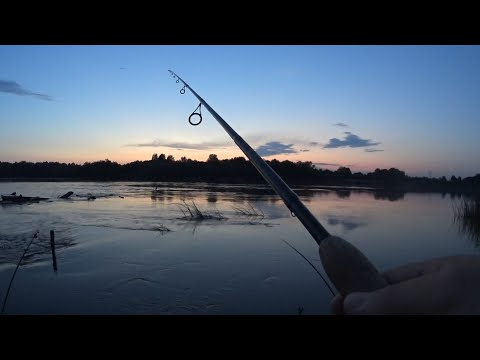 Видео: ГЛУХОЙ КОРЯЖНИК С ЯЗЯМИ! Ловля язя ночью на спиннинг на перекате. Как и на что ловить на перекате