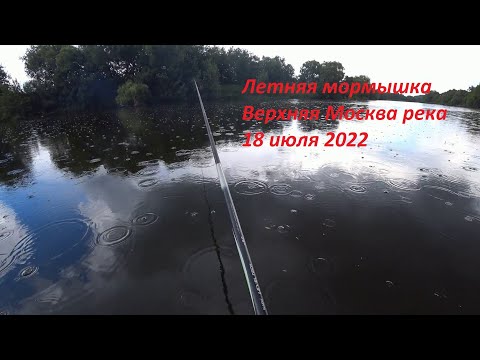 Видео: Летняя мормышка. Верхняя Москва река. 18 июля 2022