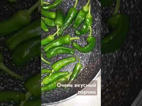 Видео: Готовим очень вкусный перчик #рецепты #вкуснодома #кулинария #перец #shorts #cooking