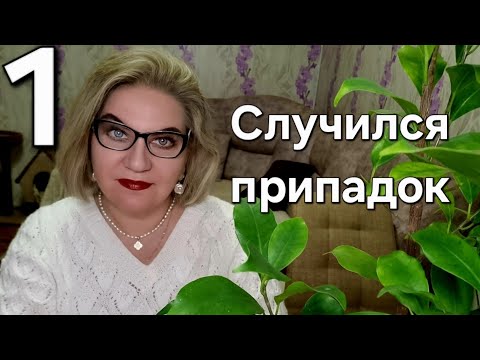 Видео: Случился припадок❗️