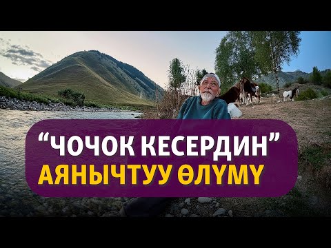 Видео: "Чочок кесер" | Абдыкерим Муратов | Аңгеме | Аудиоказына