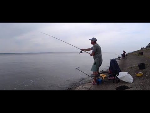 Видео: #рыбалкафидер#   Фидерная рыбалка! КВХ 2022 Август.