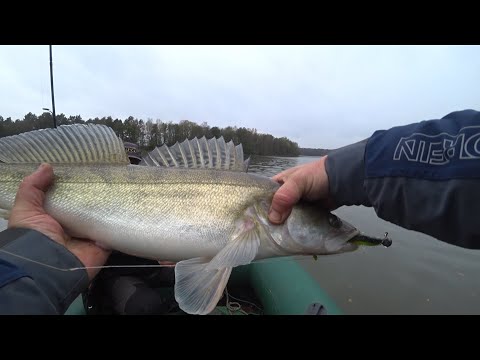 Видео: ПРАВДИНСКОЕ ВОДОХРАНИЛИЩЕ. ОСЕННИЙ СУДАК ч.1