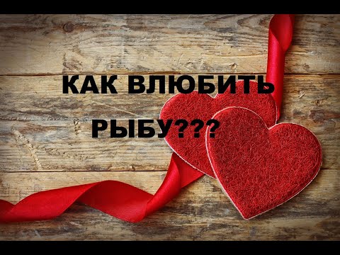 Видео: КАК ВЛЮБИТЬ В СЕБЯ РЫБЫ? ПОШАГОВАЯ ИНСТРУКЦИЯ К ОТНОШЕНИЯМ С РЫБАМИ.