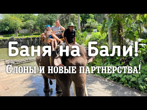 Видео: Окружение на Бали! Новые Партнерства и Отдых! Крутая Баня на Бали! Катаемся на Слонах! Гитарная Пати
