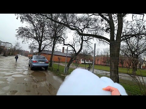 Видео: Купил синтепон. Уборка. Нерест Данио. О Скаляриях