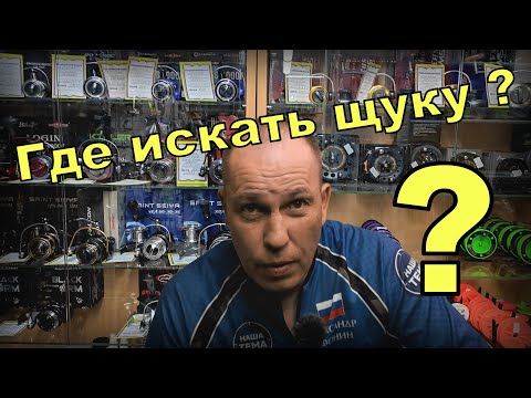 Видео: Где искать щуку на озере и на пруду ? Места стоянки рыбы