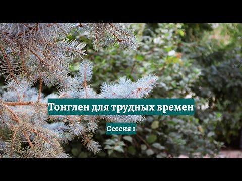 Видео: Тонглен для трудных времен (сессия 1)