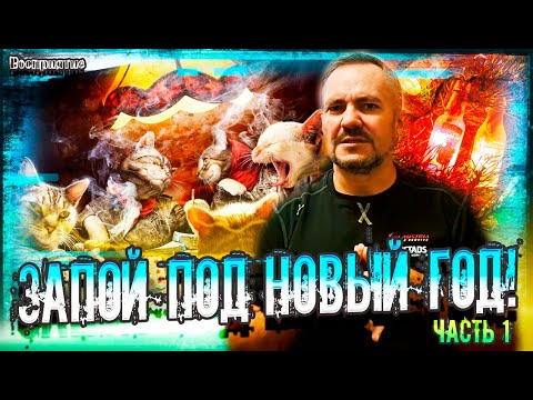 Видео: Запой под новый год! Алкопритон, кордебалет и последствия! Ужасы употребления! Часть 1 #зависимость
