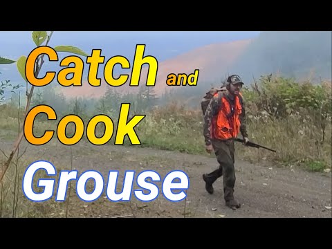 Видео: Поймать и приготовить рябчика – Охота на рябчика, штат Вашингтон
