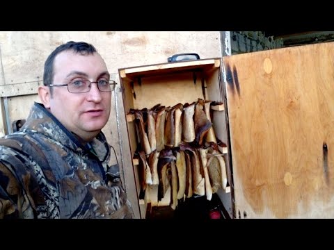 Видео: КОПЧЕНИЕ ЩУКИ / ХОЛОДНОЕ КОПЧЕНИЕ РЫБЫ / Hobbi SMOKE