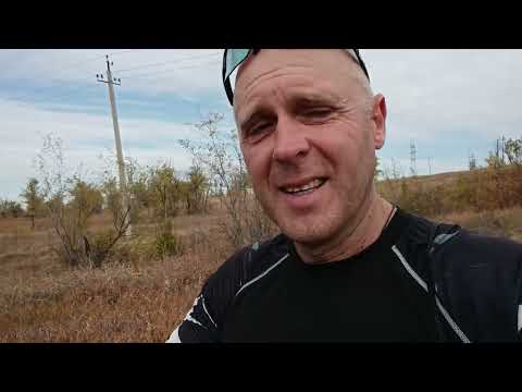 Видео: Про длину лыжных палок и не только.  