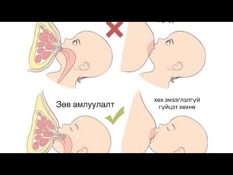 Видео: Ээж үрдээ хөхөө хэрхэн зөв амлуулах вэ. Зөв амлуулсны ачаар ээж хэвлийн хэсгээрээ сайтар турж чадна