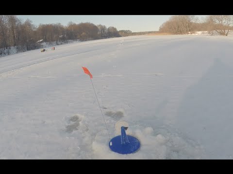 Видео: ЗИМНЯЯ РЫБАЛКА В КАЛУЖСКОЙ ОБЛ! Ловля ЩУКУ на ЖЕРЛИЦЫ!