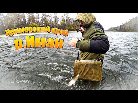 Видео: Приморский край, р.Иман. Ловля хариуса