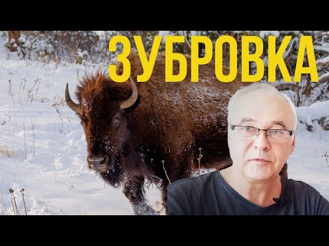 Видео: Домашняя настойка "Зубровка". Проверка рецепта.