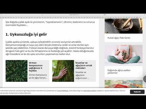 Видео: Лексический урок турецкого. Разбираем статью.