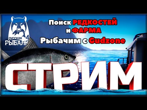 Видео: РР4 СТРИМ  •⭐ЗА ТРОФЕЙНЫМ ОСЕТРОМ на ТУНГУСКЕ и РЕДКОСТЯМИ на НОРВЕЖСКОГО МОРЕ⭐#рр4 #рр4стрим #rf4