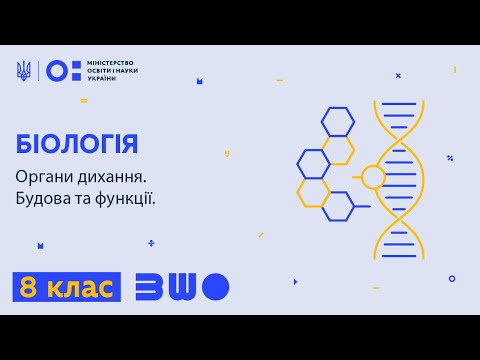 Видео: 8 клас. Біологія. Органи дихання. Будова та функції