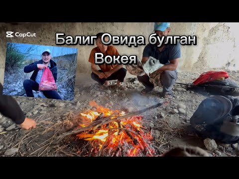 Видео: Балиг Овида Бунакаси Камдан кам булади 10 июля 2025 г.