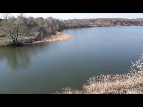 Видео: Здесь рыбы-НЕ МЕРЯННО ! Река Упа,Советское водохранилище !