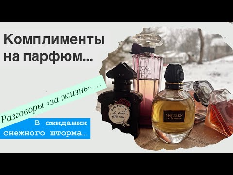 Видео: Мой парфюм похвалили! Какой из La Nuit Tresor лучший? McQueen исчезает из продажи?