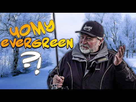 Видео: Чому Evergreen – Це ТОП! Унікальні Особливості Легендарних спінінгів.
