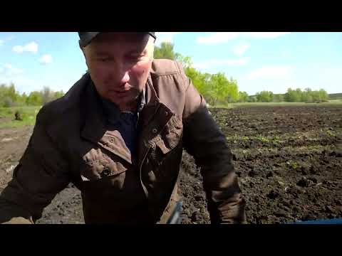 Видео: СЕЕМ СВЁКЛУ САМОДЕЛЬНОЙ СЕЯЛКОЙ. 2022.