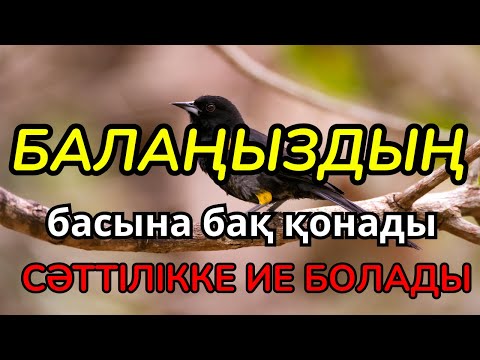 Видео: Балаңыздың Болашағын Қорғаңыз! 🛡️ Бұл дұға жолын ашып, әрқашан жолы болғыш етеді.