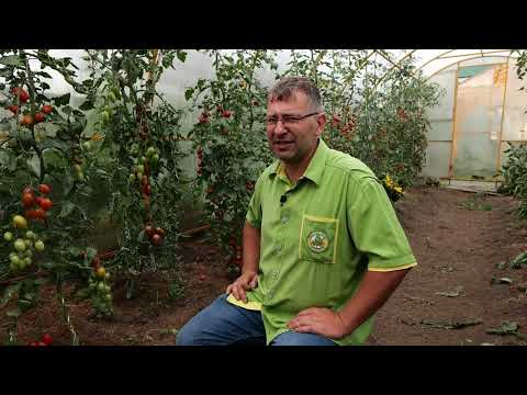 Видео: Урожай будет 100%