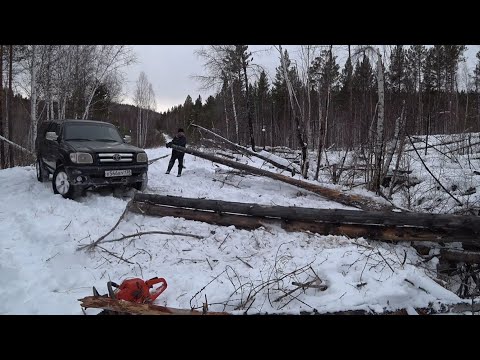 Видео: ЗАГОТОВКА ДРОВ В СИБИРИ!!!НА КИТАЙСКОМ ТРАКТОРЕ!!! РАБОТАЕМ С БАТЕЙ!!! СБОР ВАЛЁЖНИКА!!!!!
