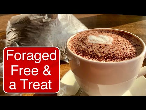 Видео: ДОБЫЧА | БЕСПЛАТНО И В КАЧЕСТВЕ | ЭКСТРЕМАЛЬНО ЭКОНОМНАЯ ЖИЗНЬ