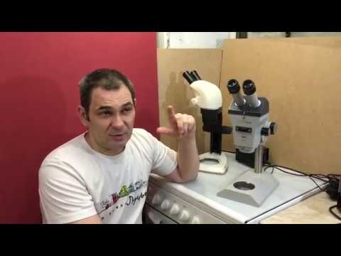 Видео: Обзор стереомикроскопа Zeiss Stemi SV8 with fiber light on Dual Arm Stand